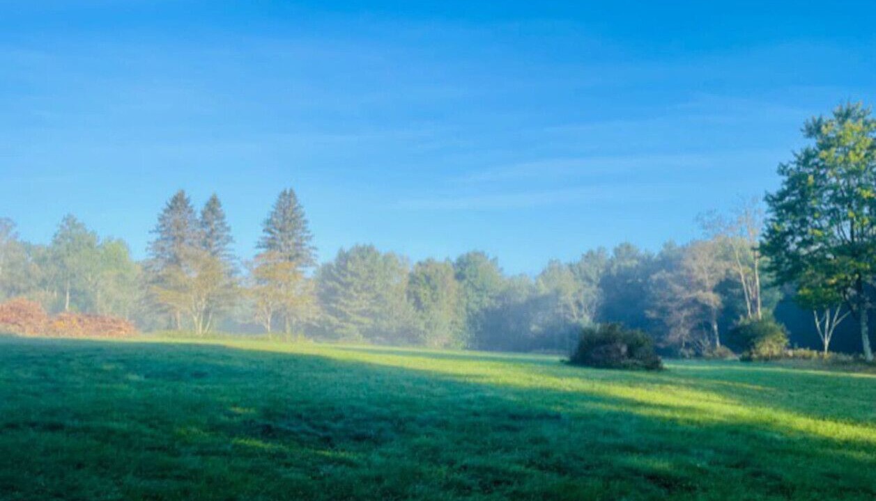 Photo of Others in Highmount