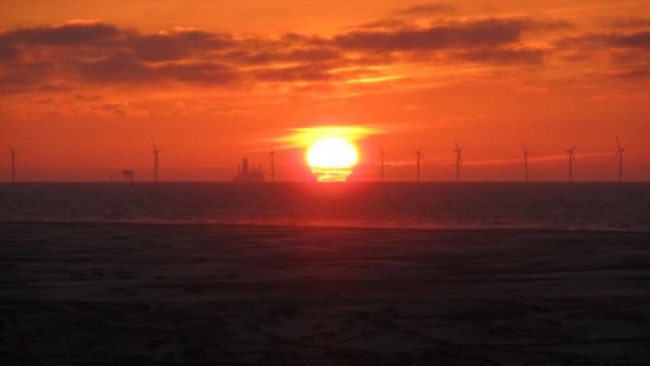 Photo of Others in Borkum