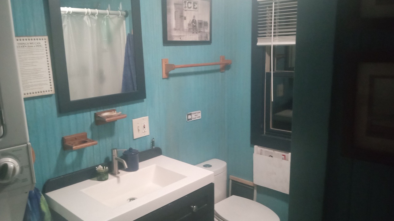 Photo of Bathroom in Forest Dale