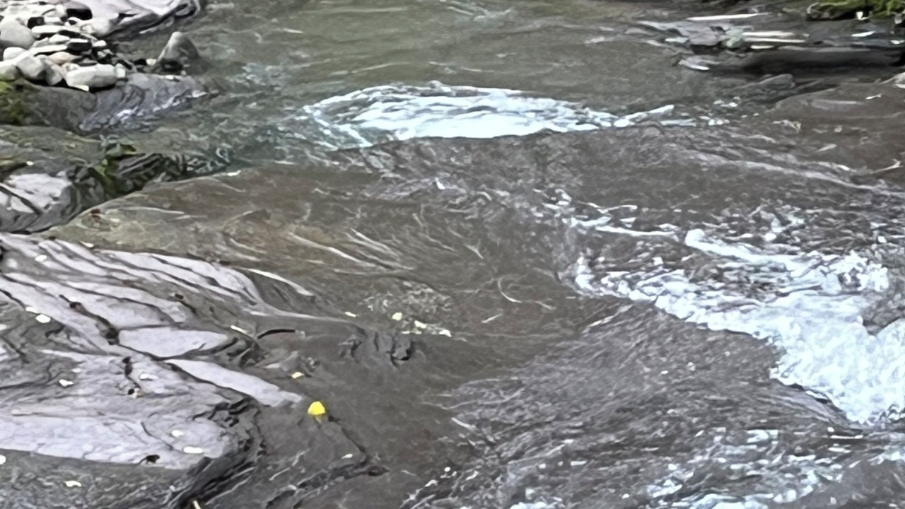 Photo of Others in East Branch