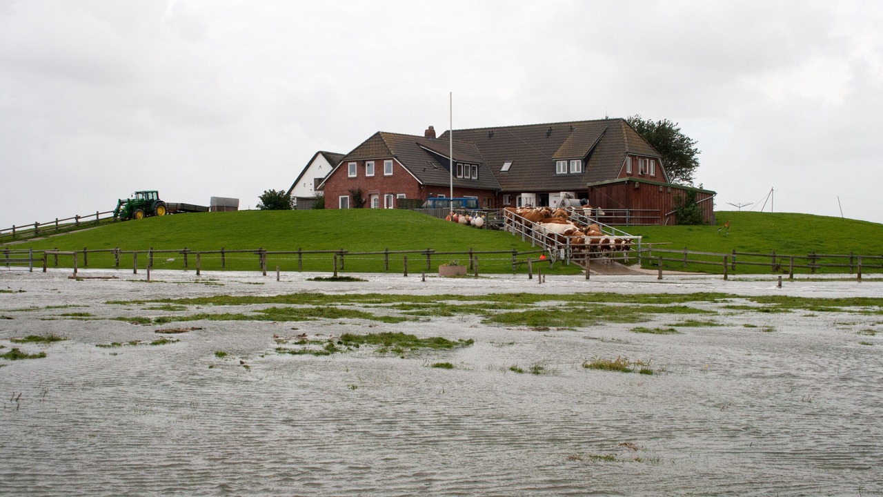 Photo of Others in Langeneß