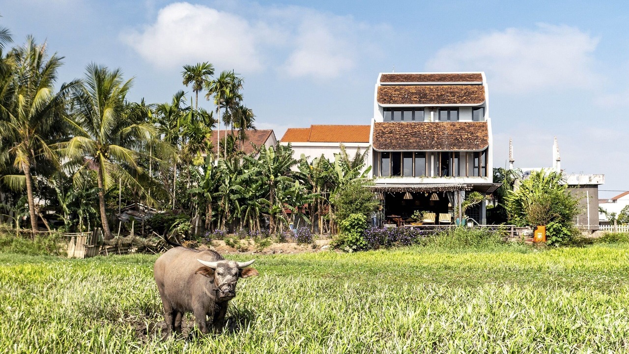 Photo of Outdoor in Cam Thanh