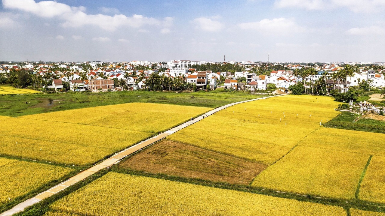 Photo of Outdoor in Cam Thanh