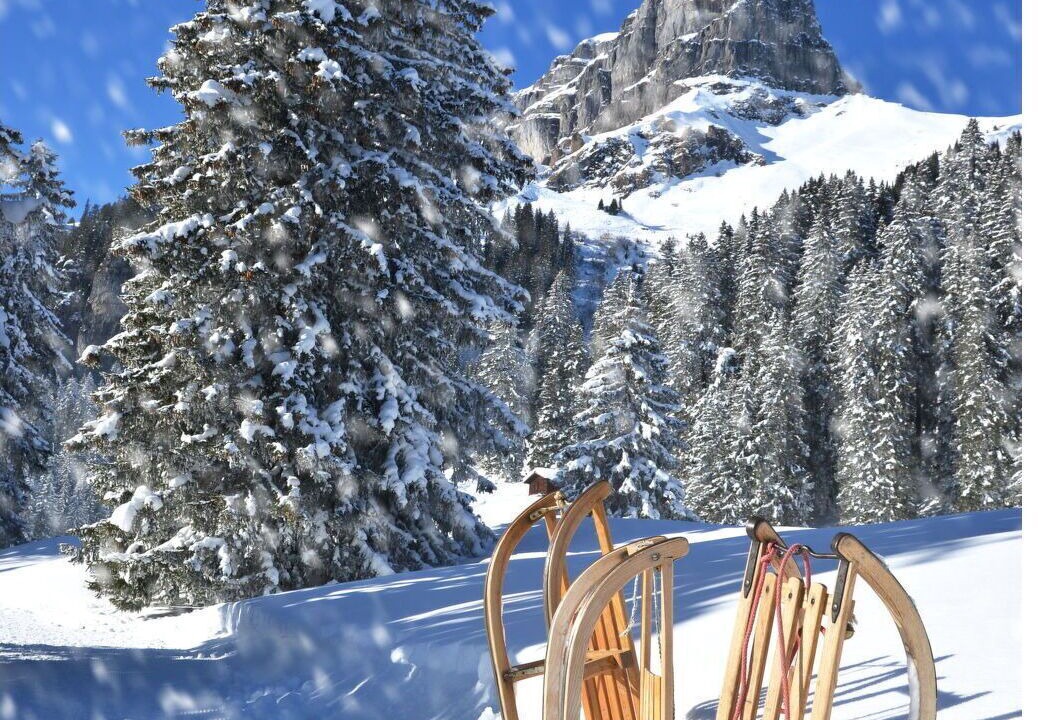 Photo of Others in Davos-Dorf