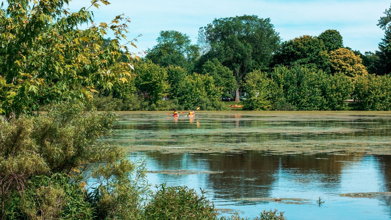 Photo of Others in Creston