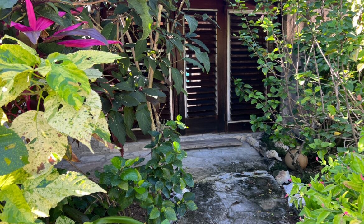 Photo of Outdoor in New Bight