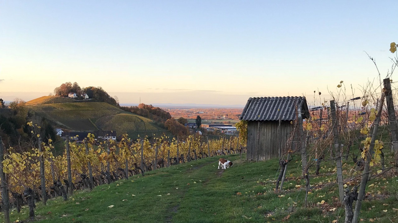 Photo of Others in Oberkirch