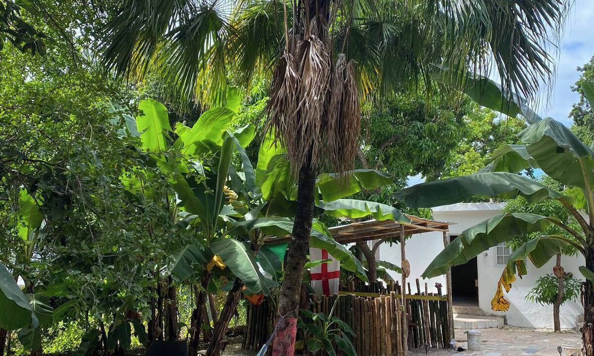 Photo of Outdoor in Mango Walk