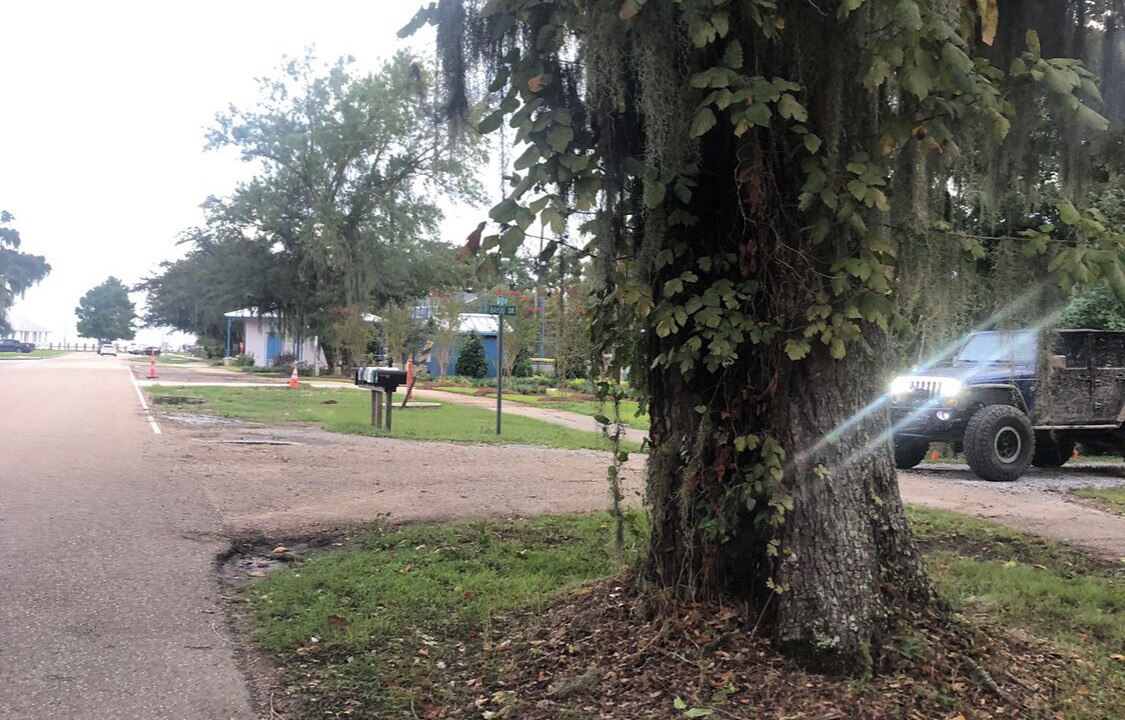 Photo of Others in Mandeville