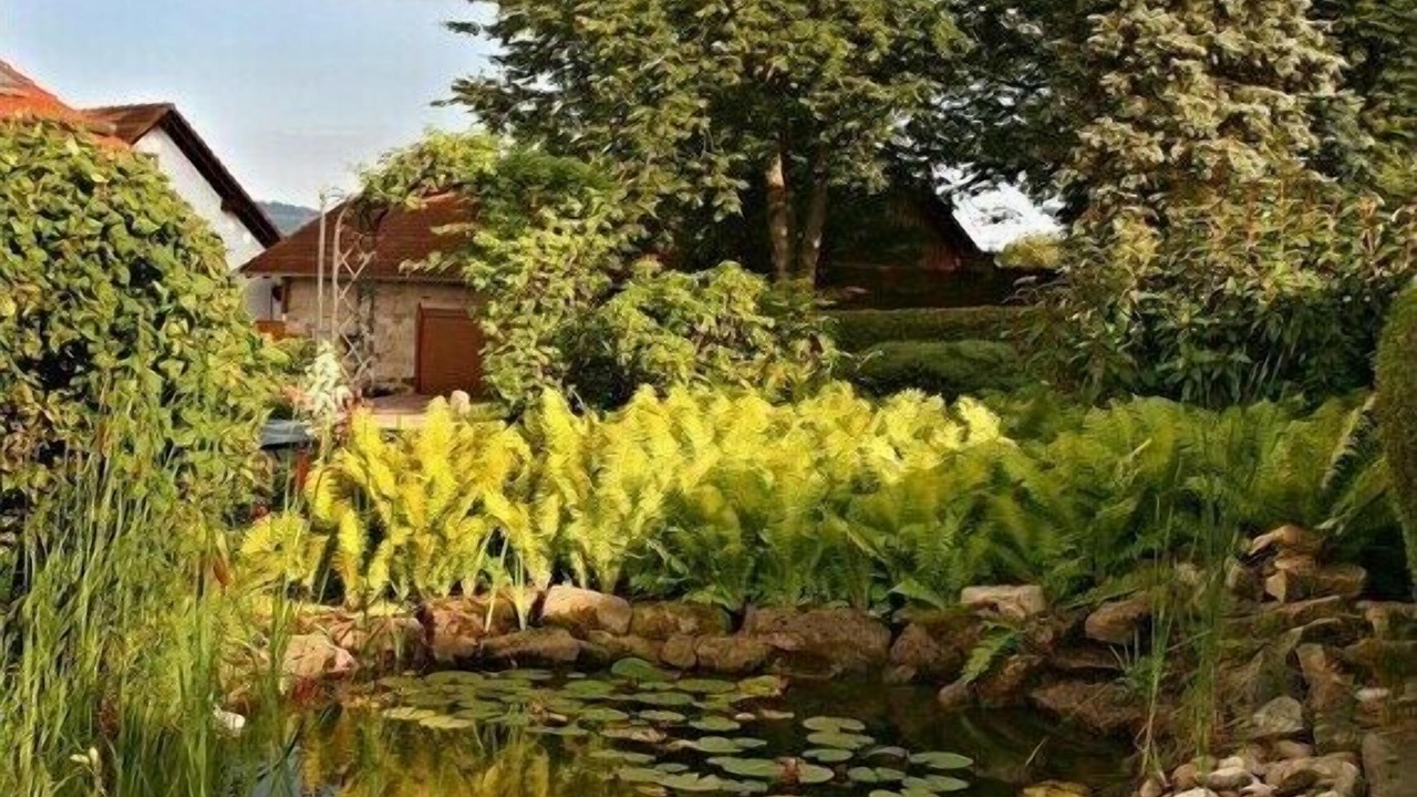 Photo of Outdoor in Motten