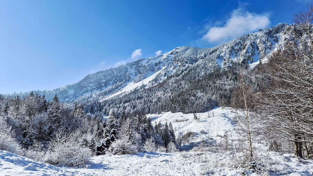 Photo of Others in Schliersee