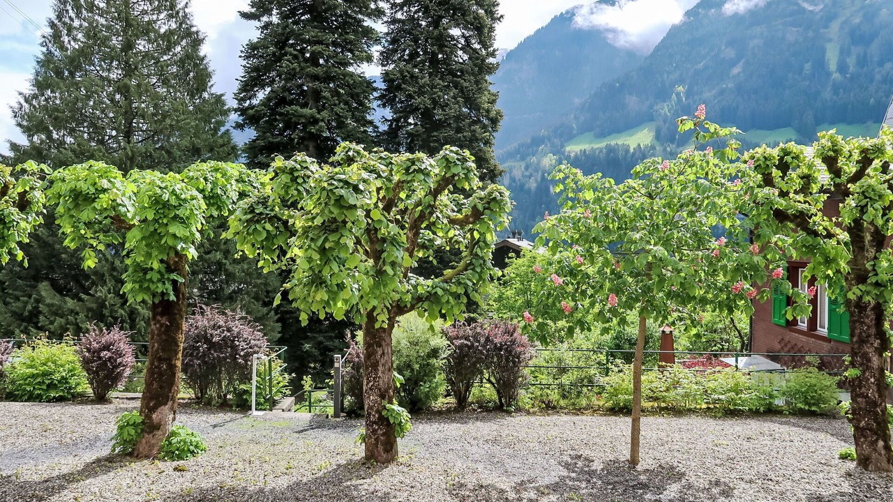 Photo of Others in Champery