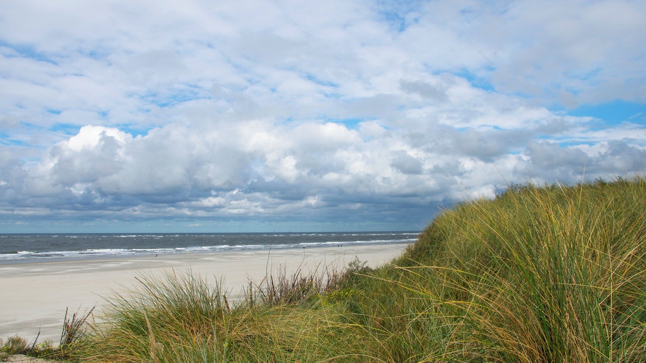Photo of Others in Spiekeroog