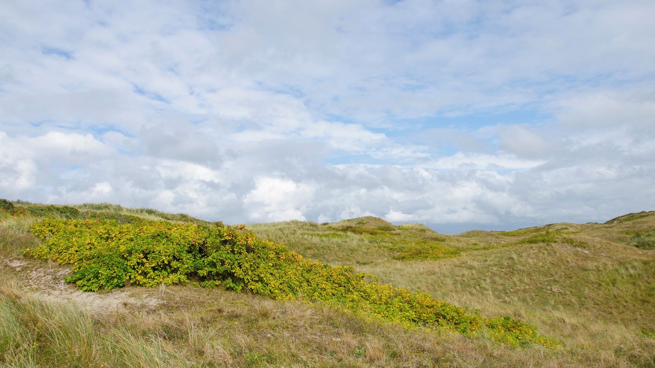 Photo of Others in Spiekeroog