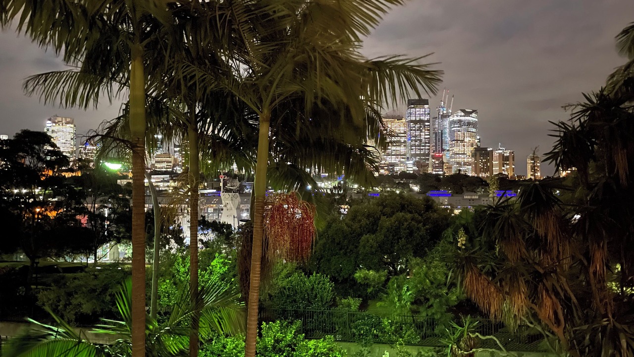 Photo of Outdoor in Potts Point