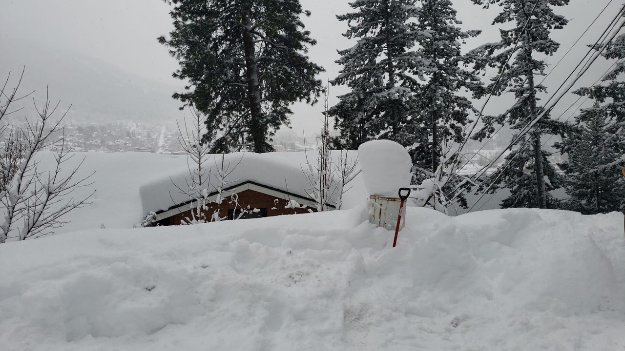 Photo of Outdoor in Nelson