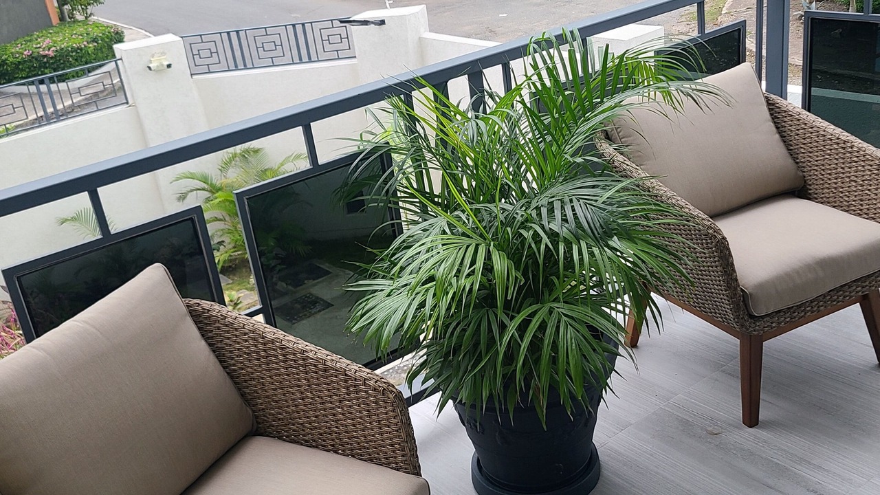 Photo of Outdoor in Camperdown
