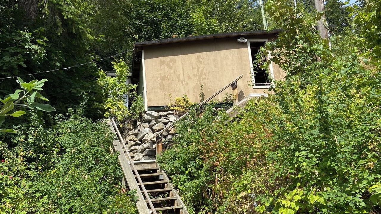 Photo of Others in Nelson