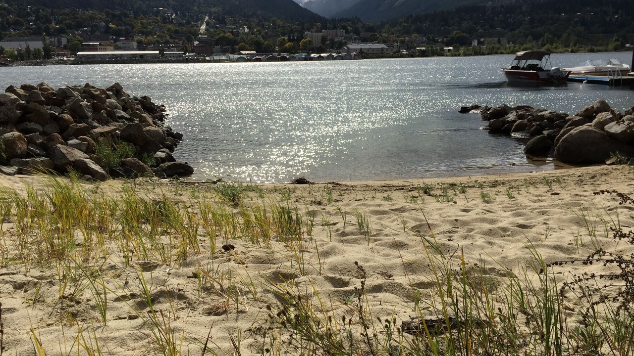 Photo of Others in Nelson