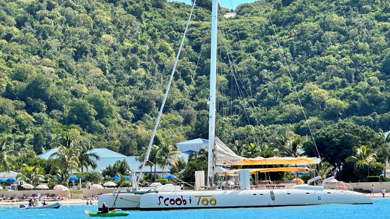 Photo of Others in Nettle Bay