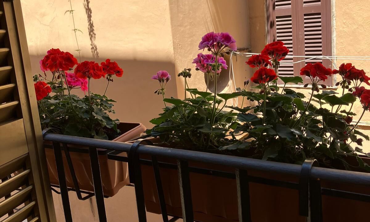 Photo of Outdoor in Monterotondo