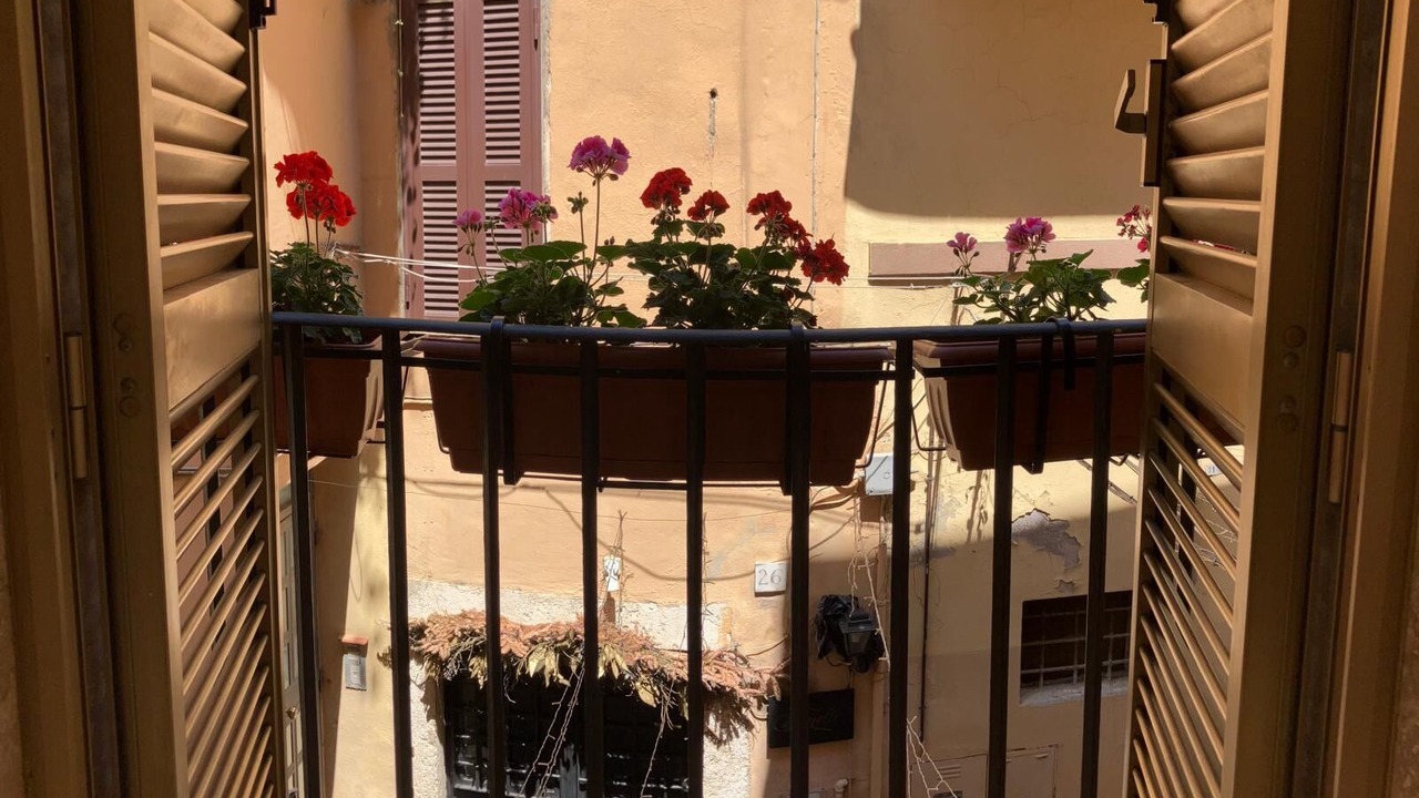 Photo of Others in Monterotondo