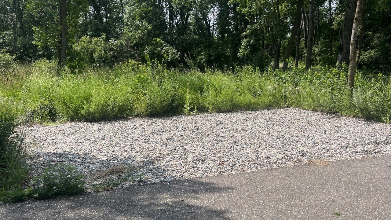Photo of Others in Battle Lake