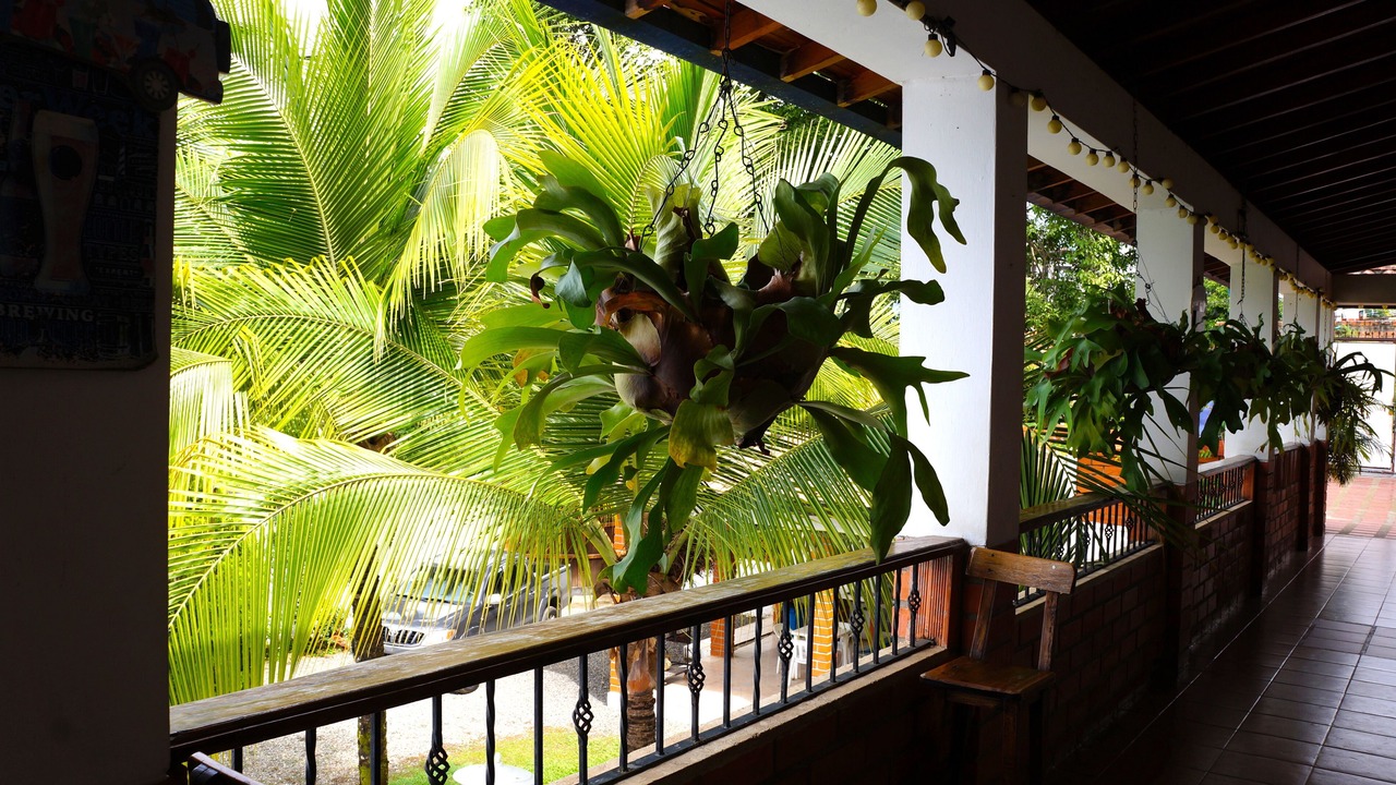 Photo of Outdoor in Zona Colonial