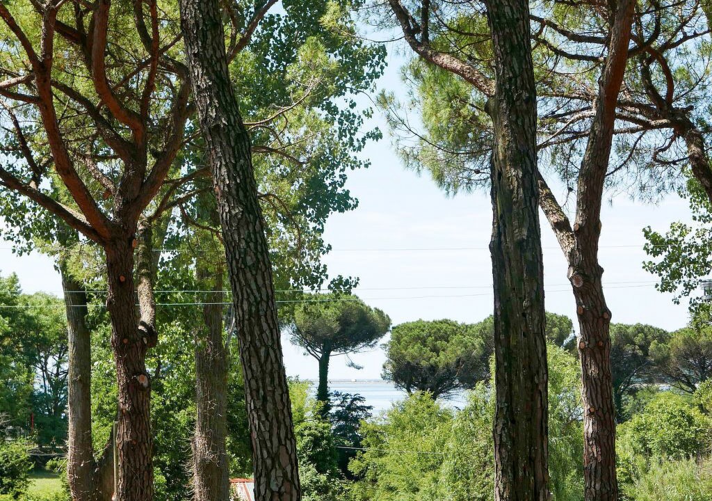 Photo of Others in Aquileia