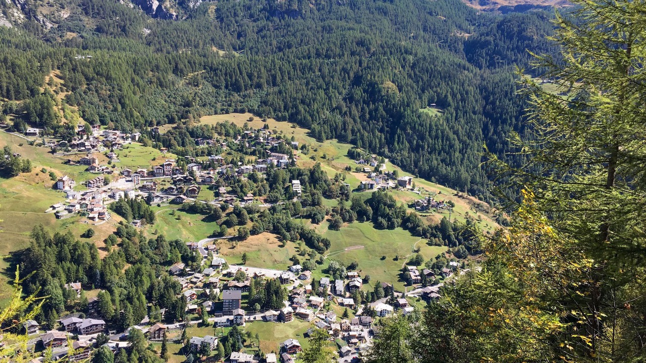 Photo of Others in Valtournenche