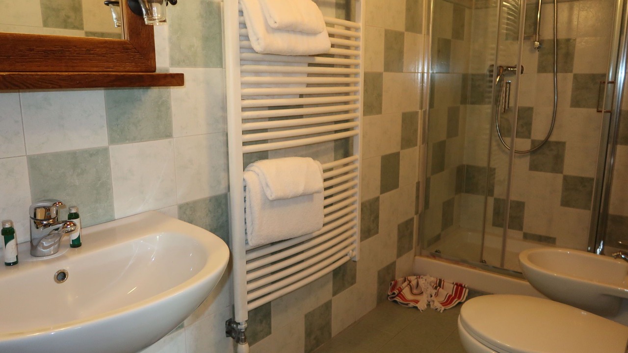 Photo of Bathroom in Valtournenche