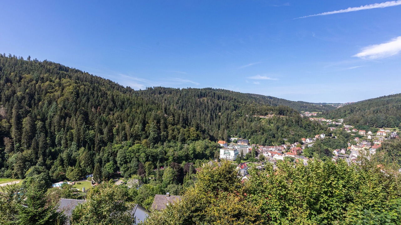 Photo of Others in Triberg im Schwarzwald