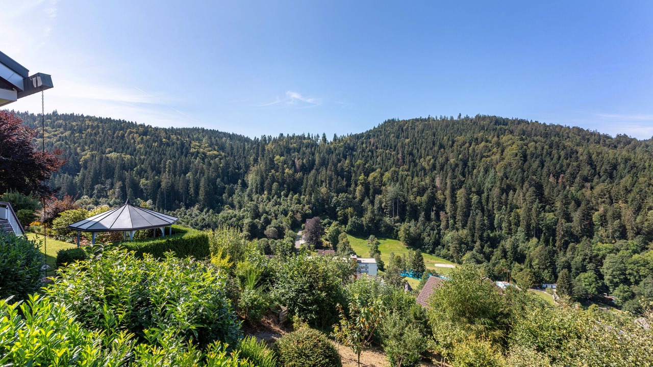 Photo of Others in Triberg im Schwarzwald