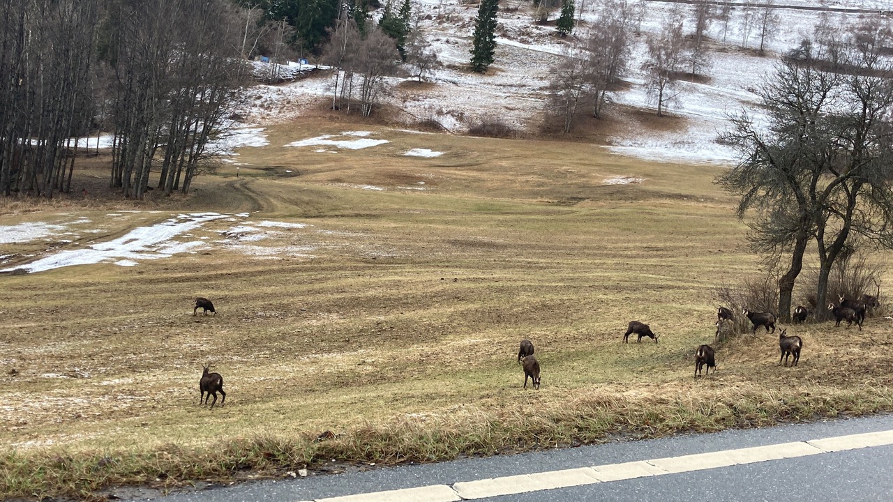 Photo of Others in Chalais
