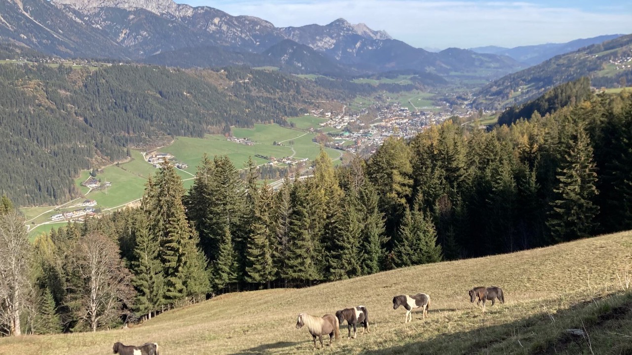 Photo of Others in Schladming