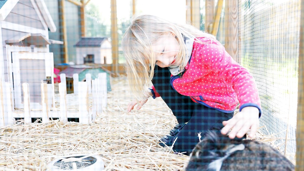 Photo of Outdoor in Lemkendorf