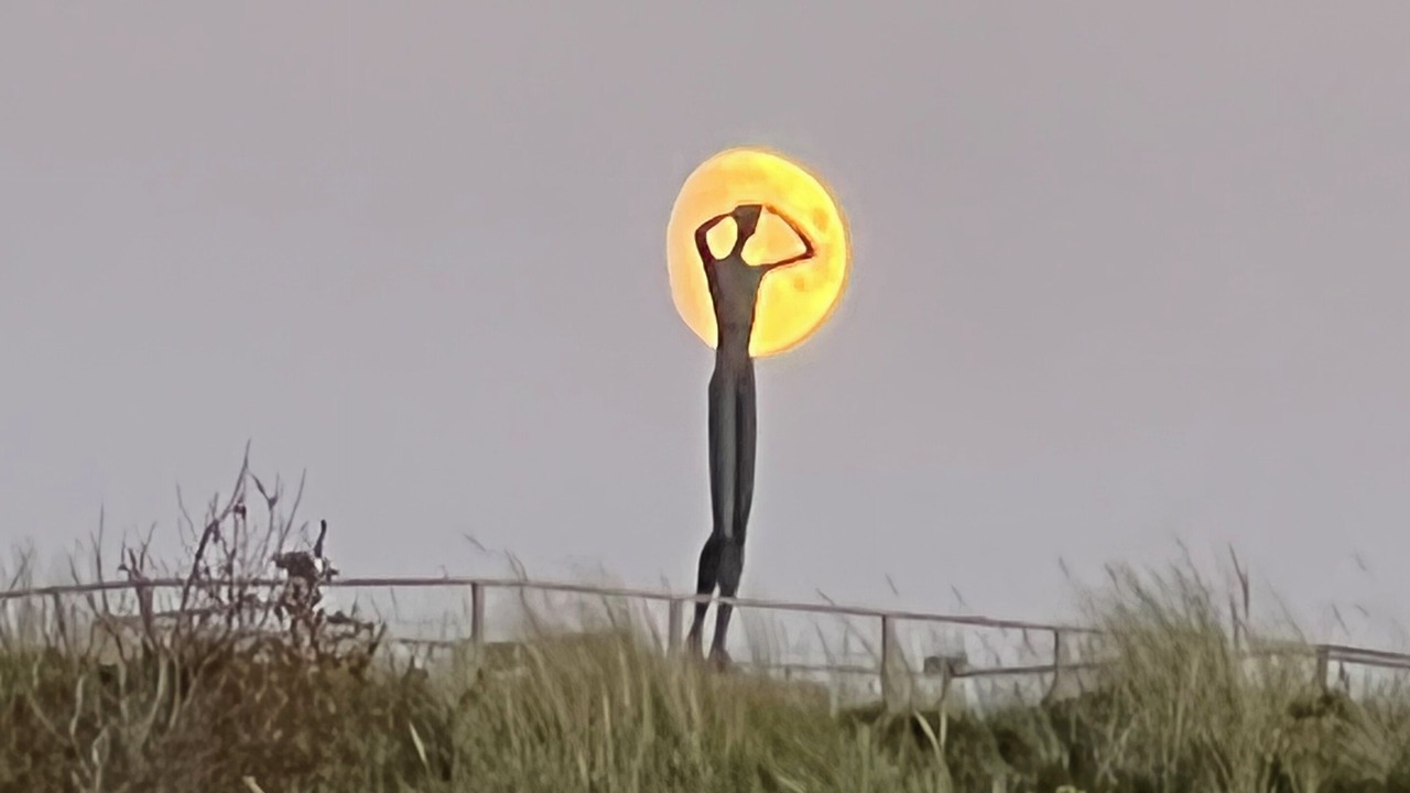 Photo of Others in Spiekeroog