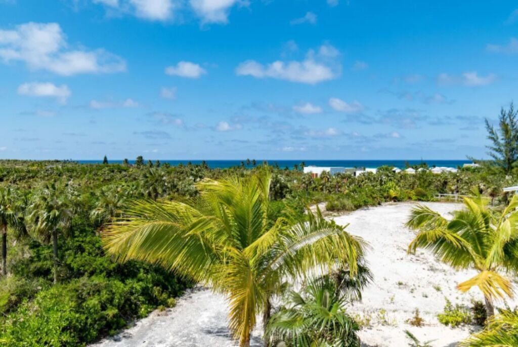 Photo of Others in North Palmetto Point