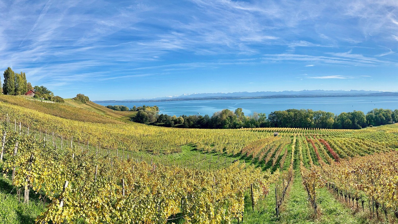 Photo of Others in Neuchatel