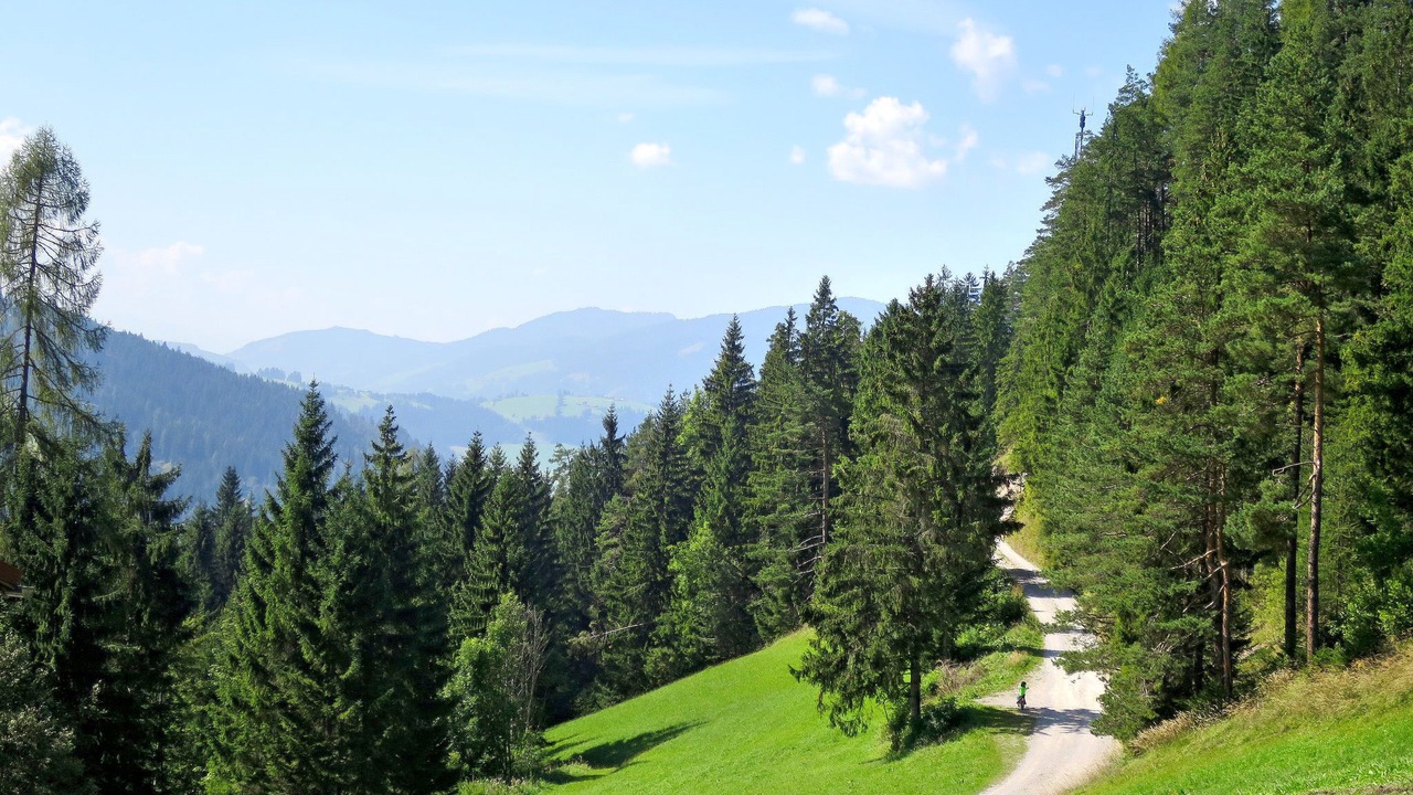 Photo of Others in Radstadt