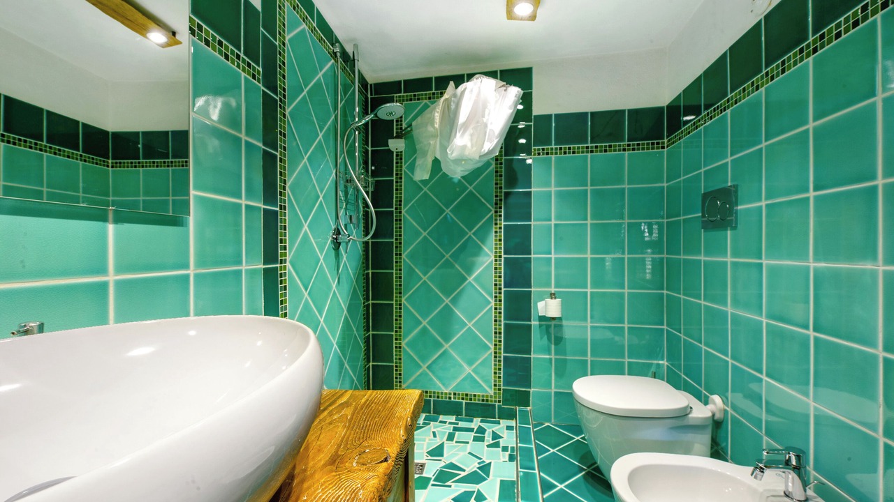 Photo of Bathroom in Valtournenche