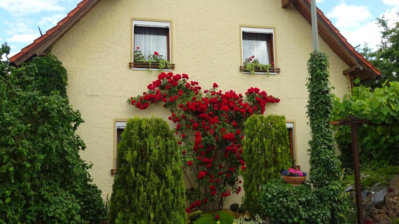 Photo of Outdoor in Harsdorf