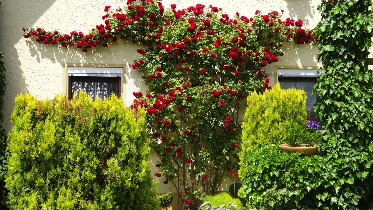 Photo of Outdoor in Harsdorf