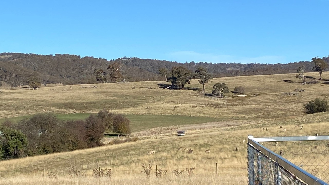 Photo of Others in Adaminaby