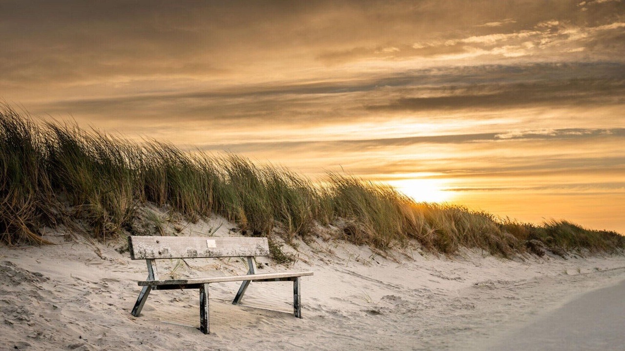 Photo of Others in Borkum