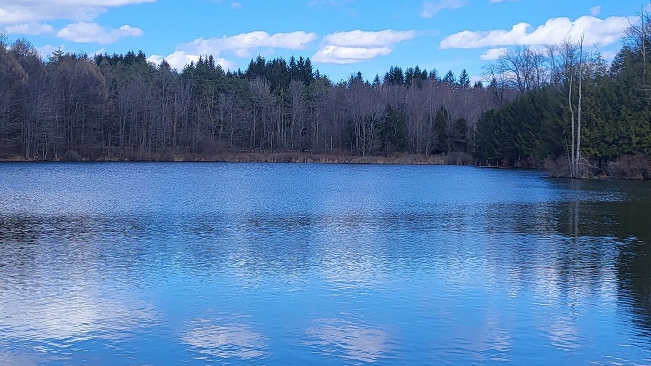 Photo of Others in Roaring Branch