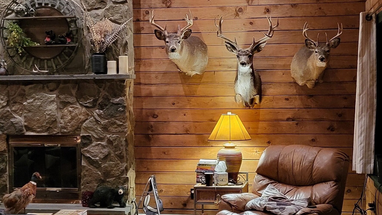 Photo of Others in Roaring Branch