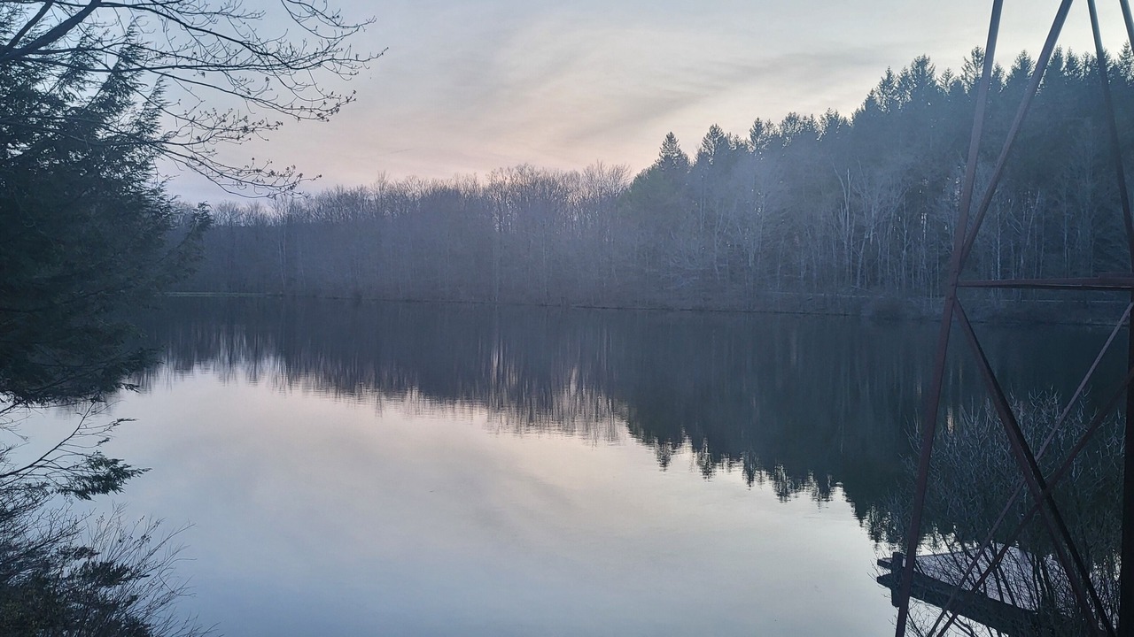 Photo of Outdoor in Roaring Branch
