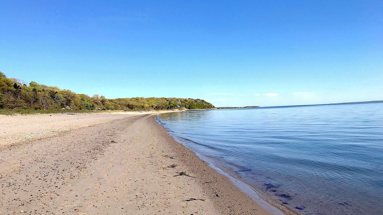 Photo of Others in Barnes Landing