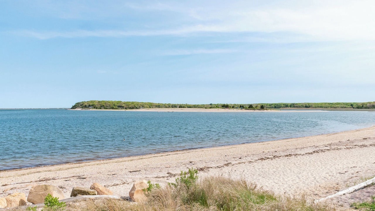Photo of Others in Barnes Landing